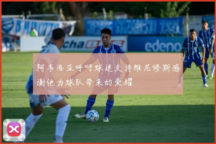 阿韦洛亚呼吁球迷支持维尼修斯感谢他为球队带来的荣耀
